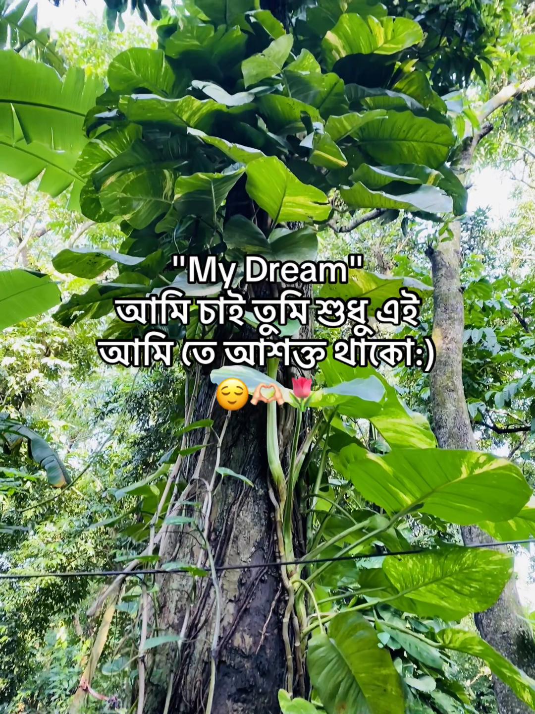 @টিক-টিকি