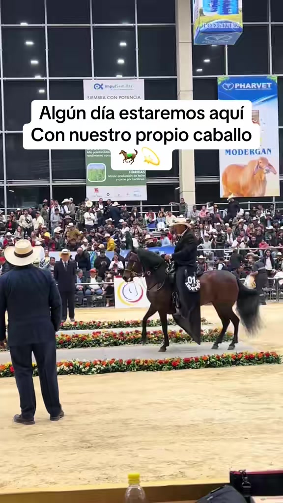 @El&ensp;TiTi&reg;️