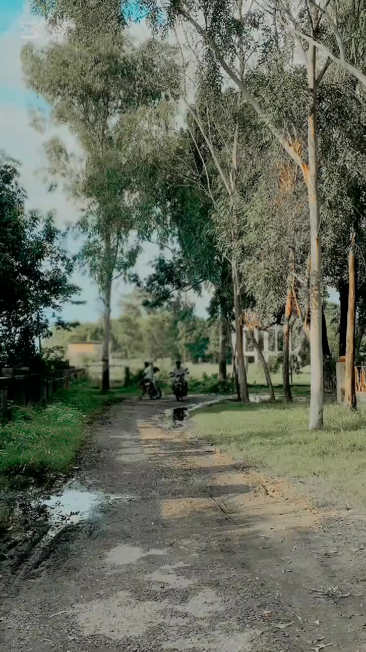 @𝗠𝗿 𝗡𝗶𝗿𝗮𝗝 🐦