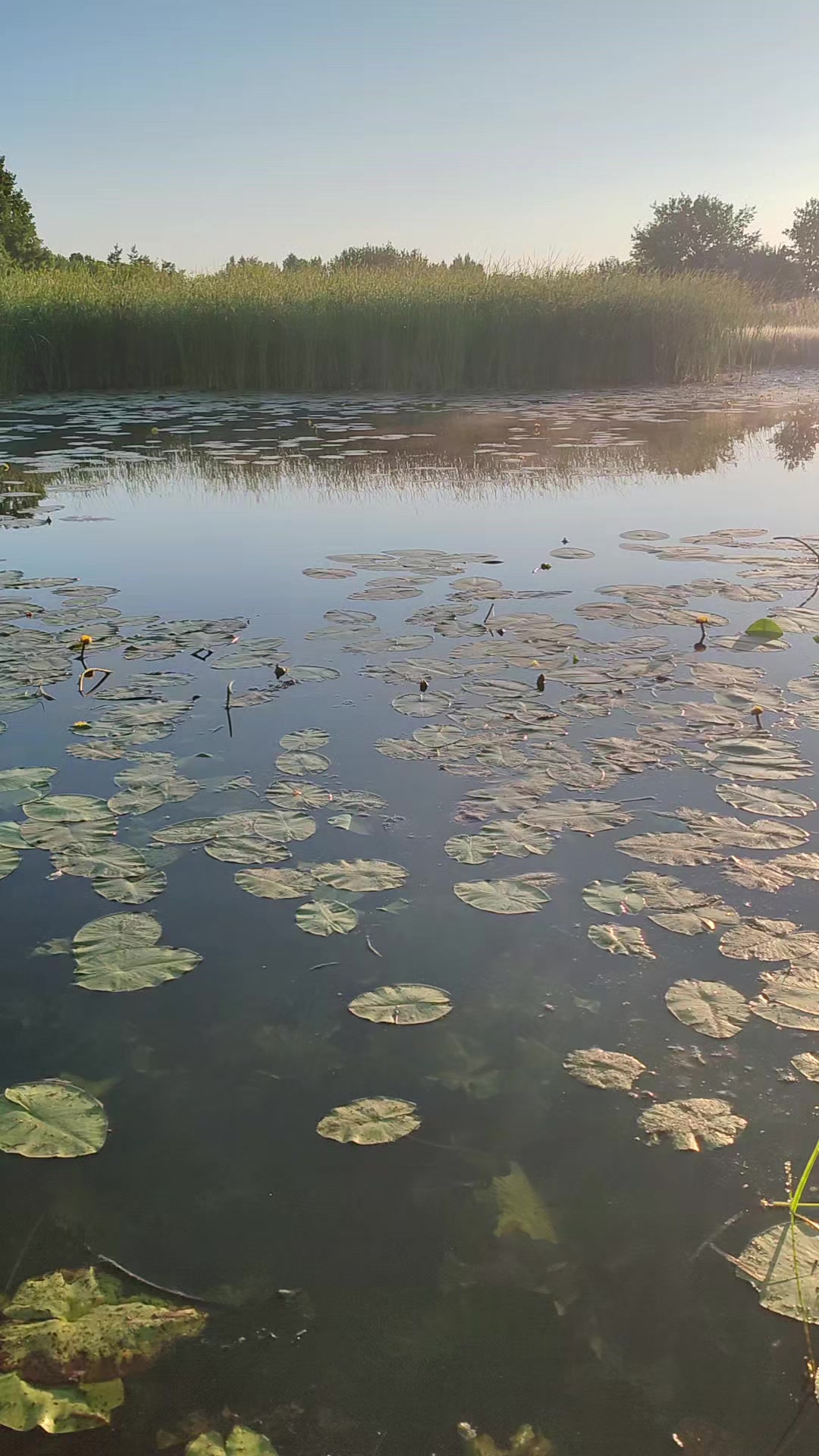 @(ЖОР)Жизнь Одного Рыбака