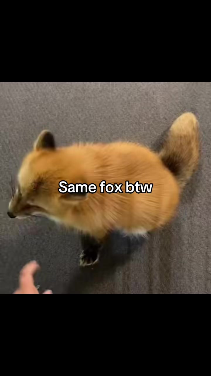 @brad_drixel