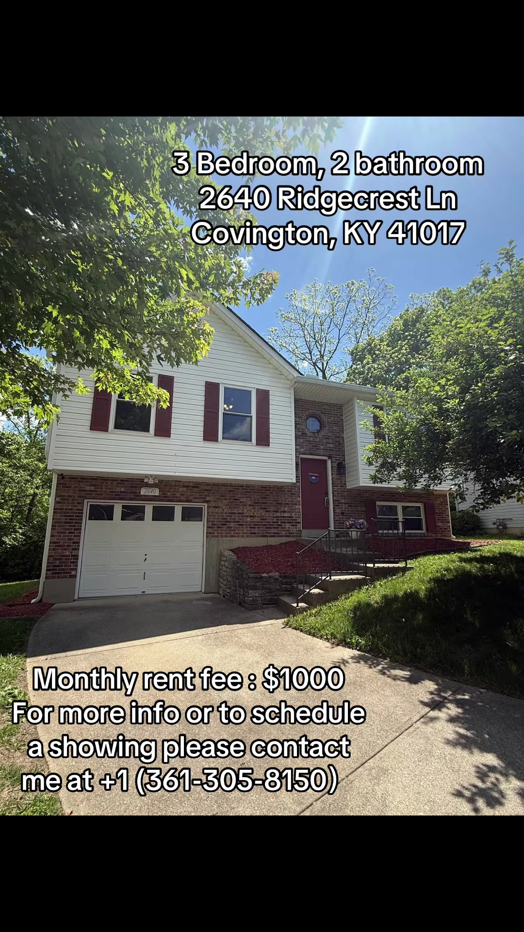 @House Rental Agent