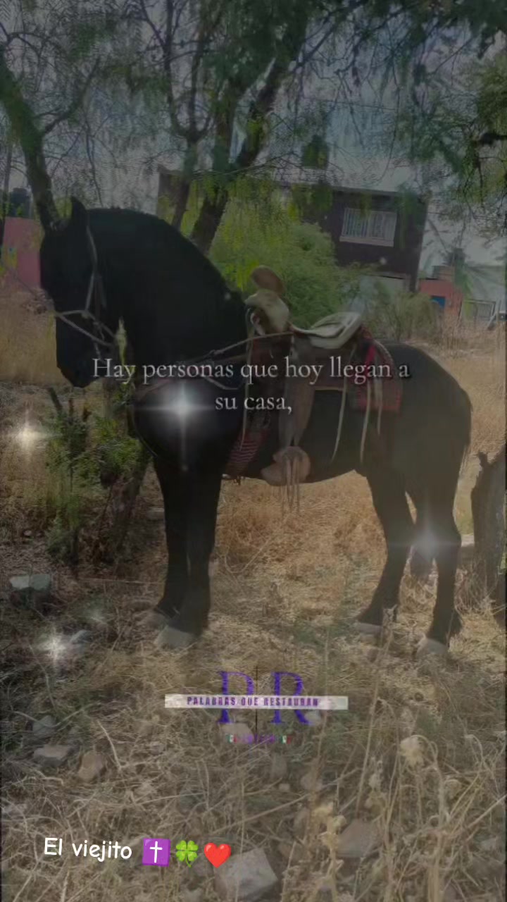 @Viejito Cordova✝️🍀❤️🐎🦅