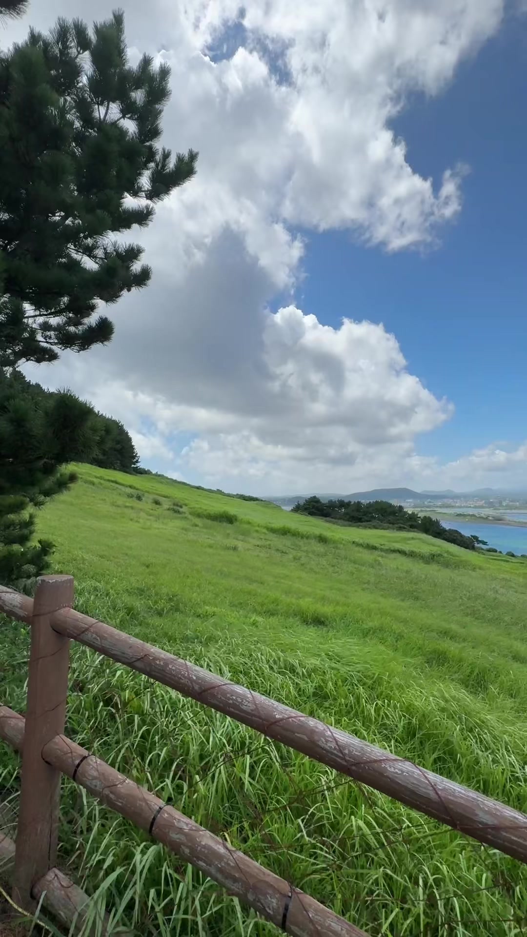 @SANĞSHI🖤