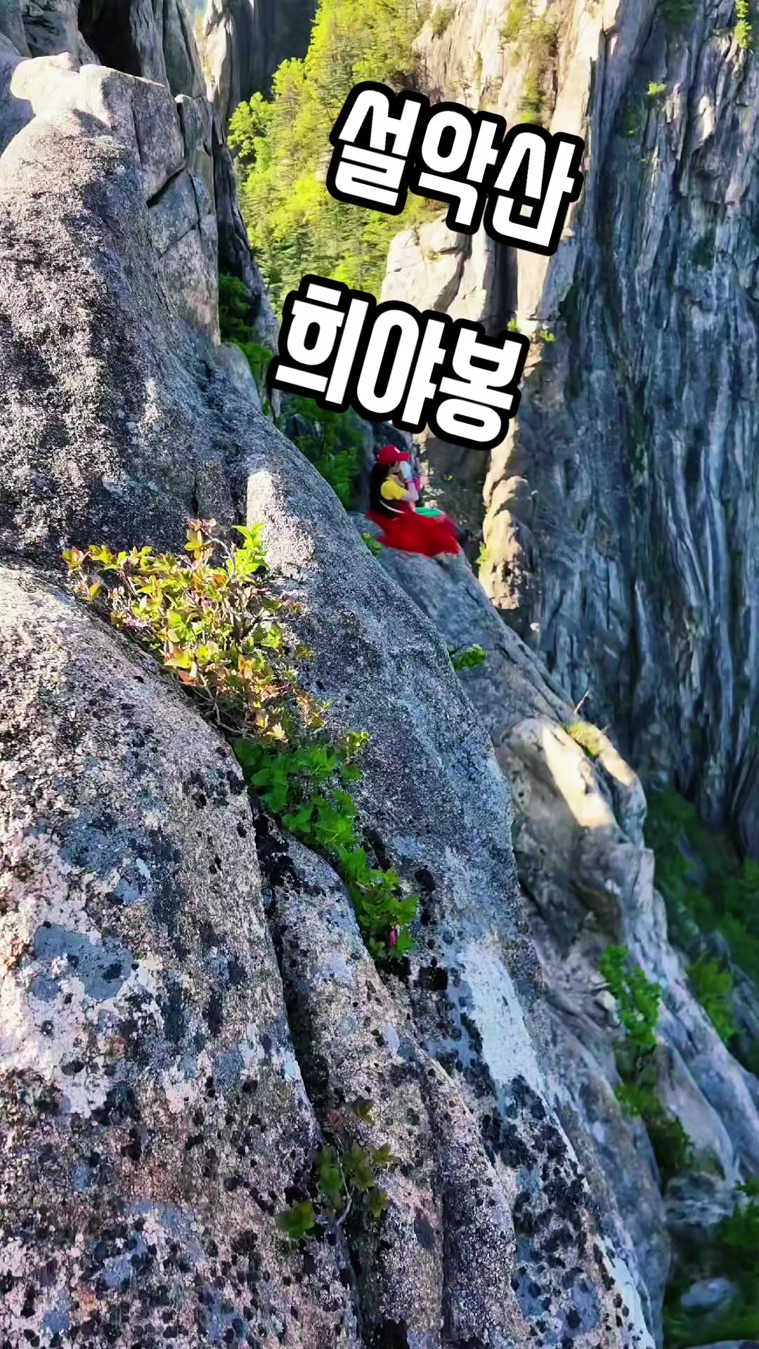@sanmoolyeo