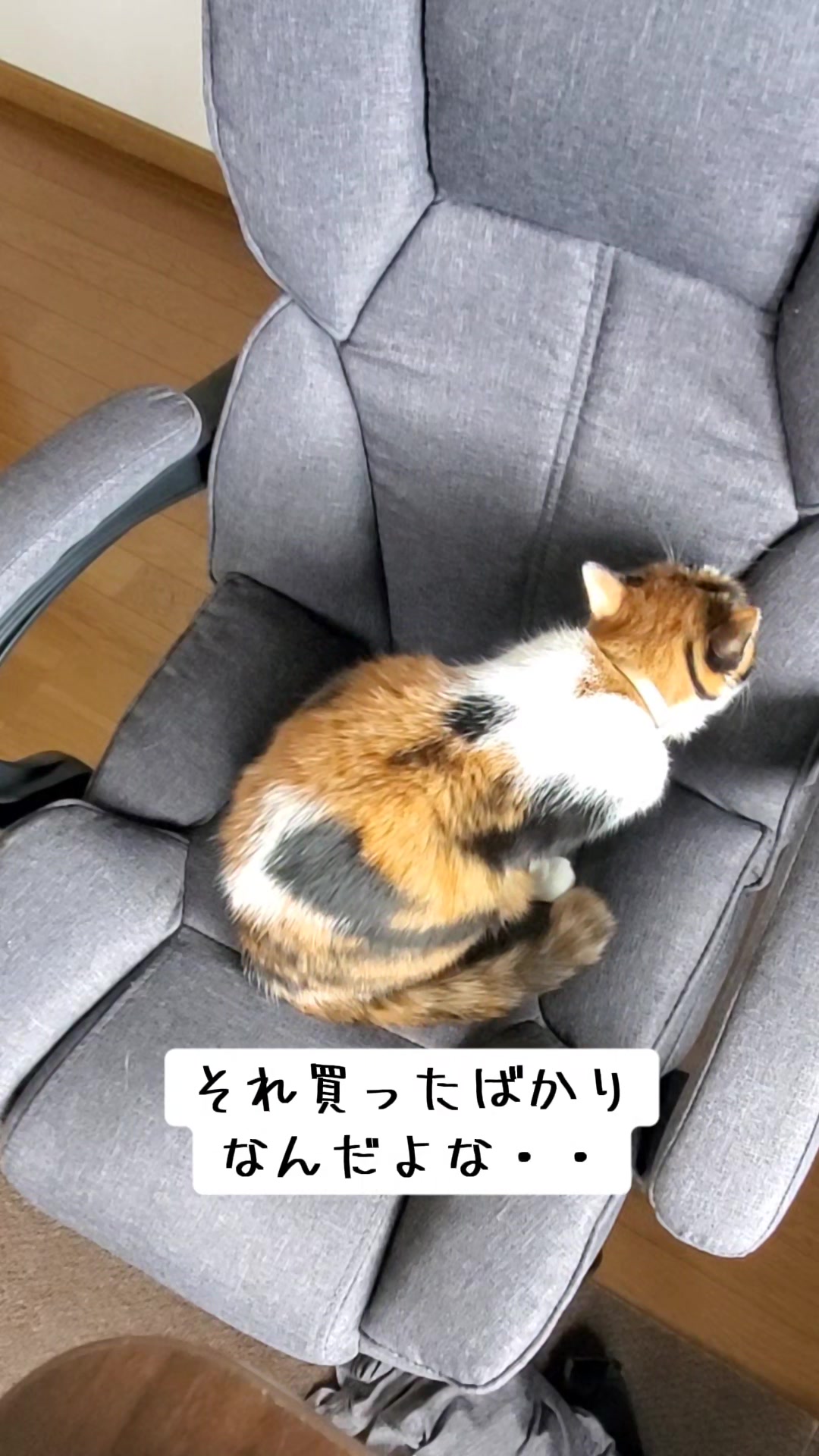 @😻kazuki😻