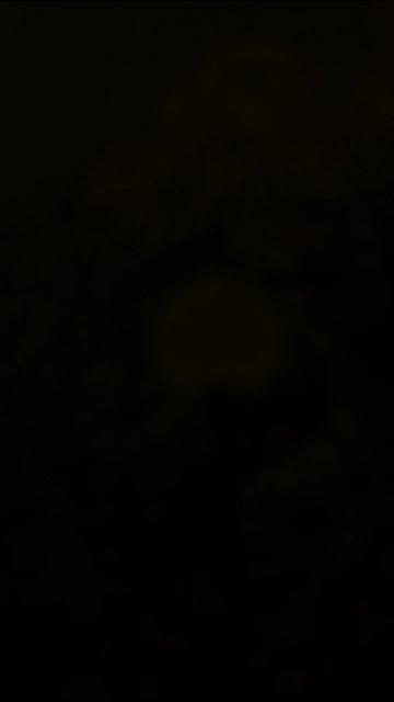 @🇧🇩༺✮®রাকিব .رقيب 🇰🇼