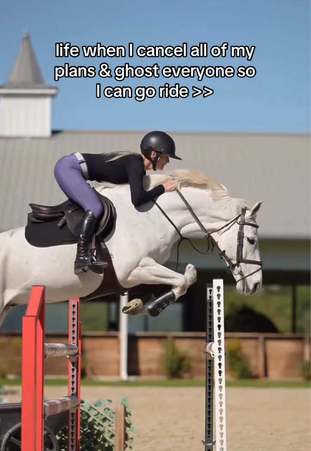 @Free Ride Equestrian