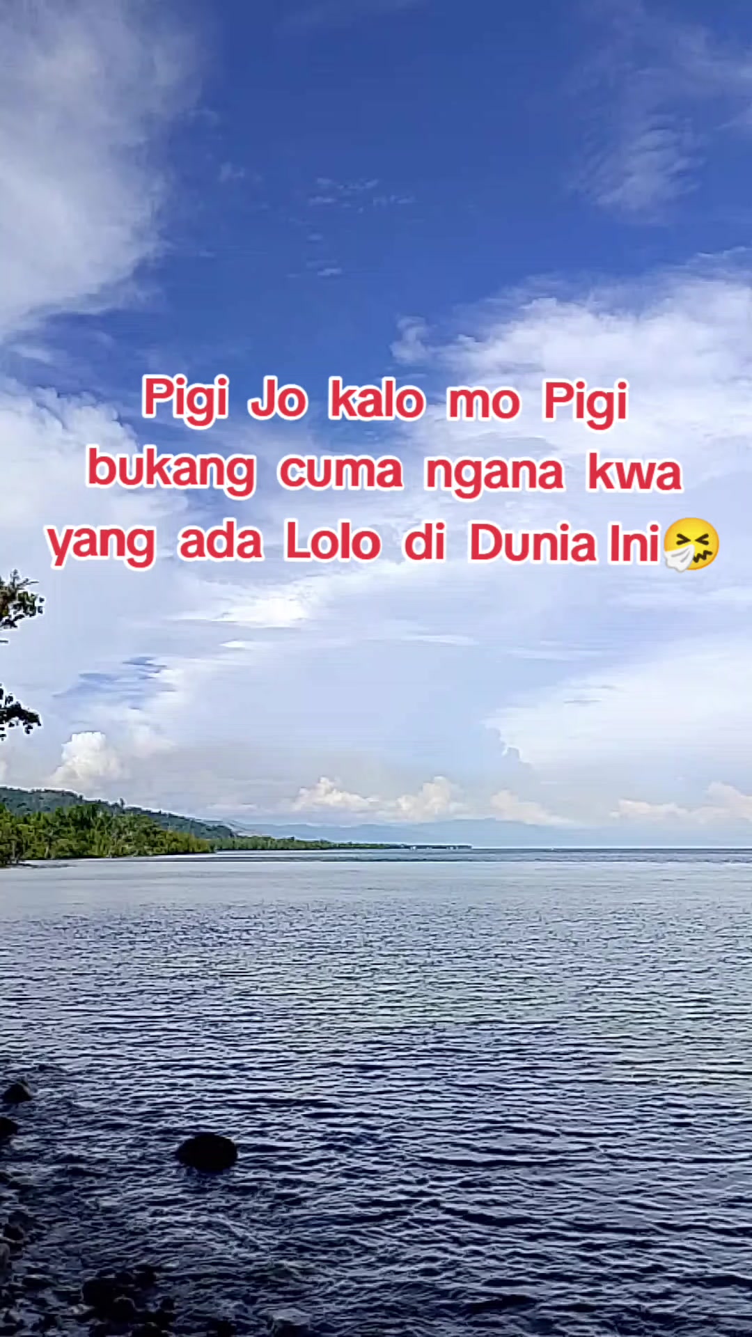 @Gemoy17🧸