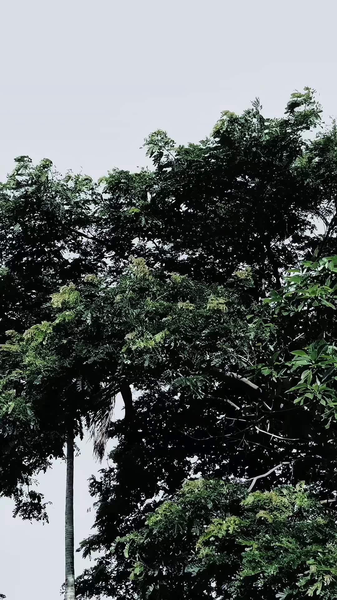 @𝘻𝘢𝘴𝘴