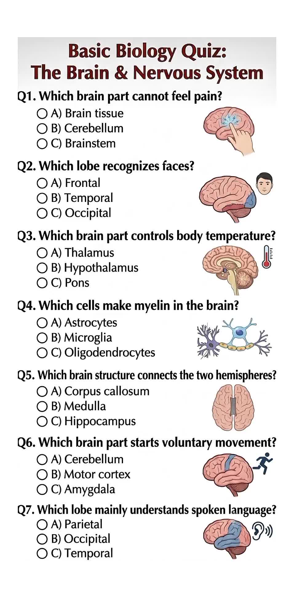 @Daily Quiz