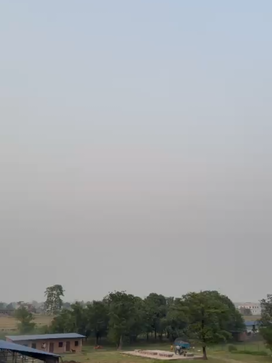@Dr Manjali Yadav