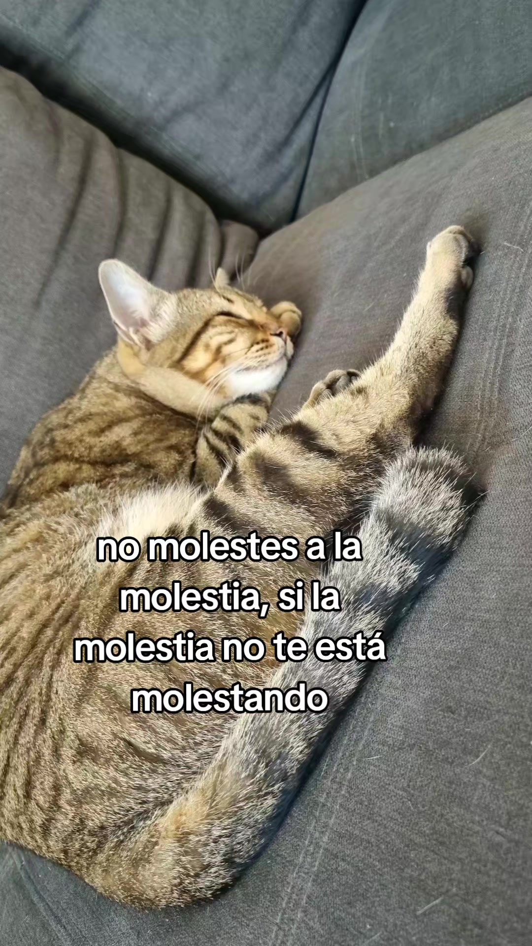 @MaryBerry_0211