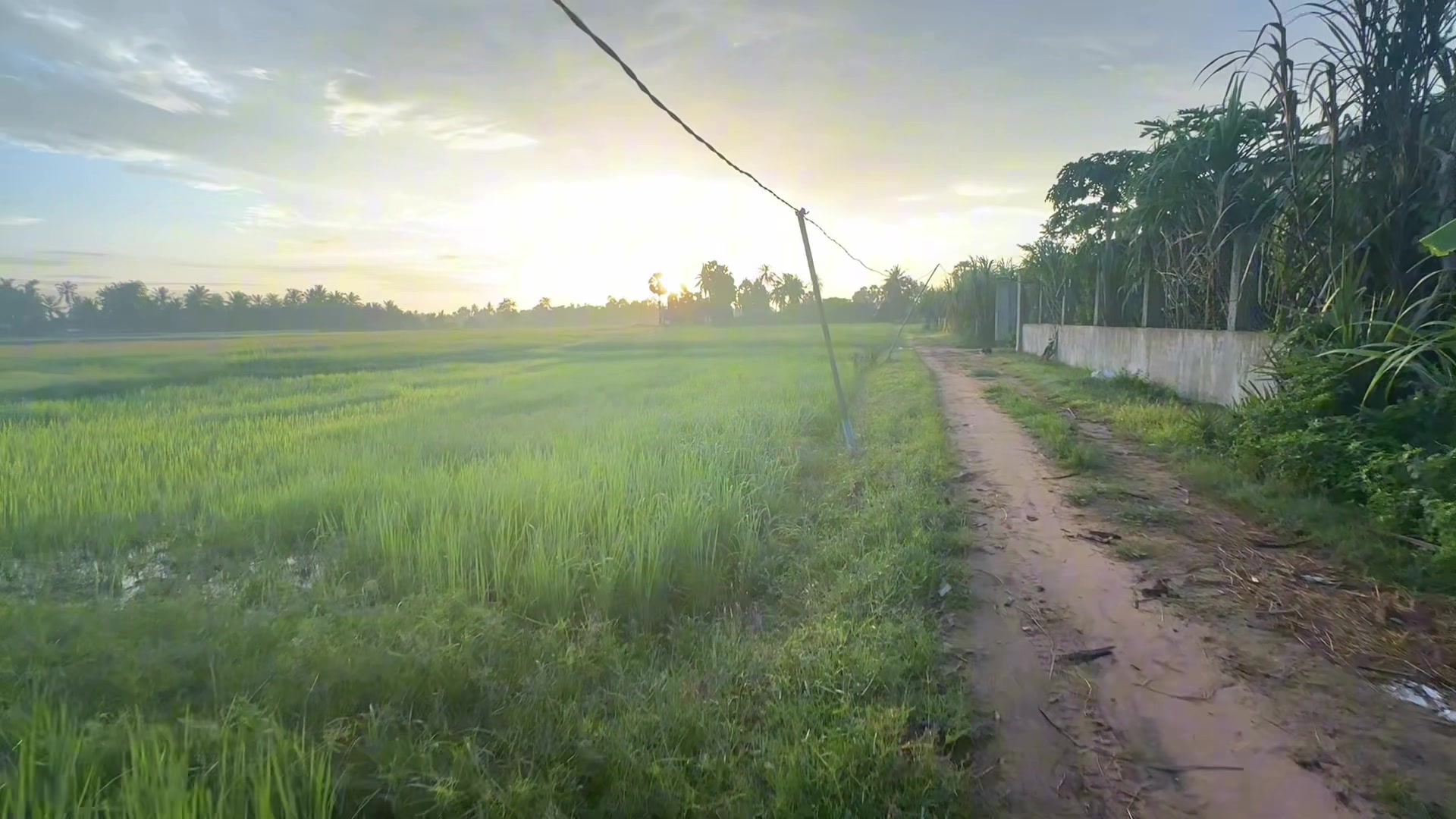 @សឿន វណ្ណា - सोएन् वण्णा 🌾💚🌅