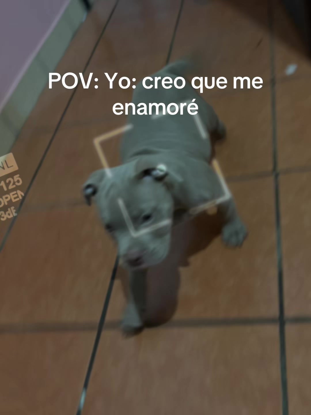 @Chanona