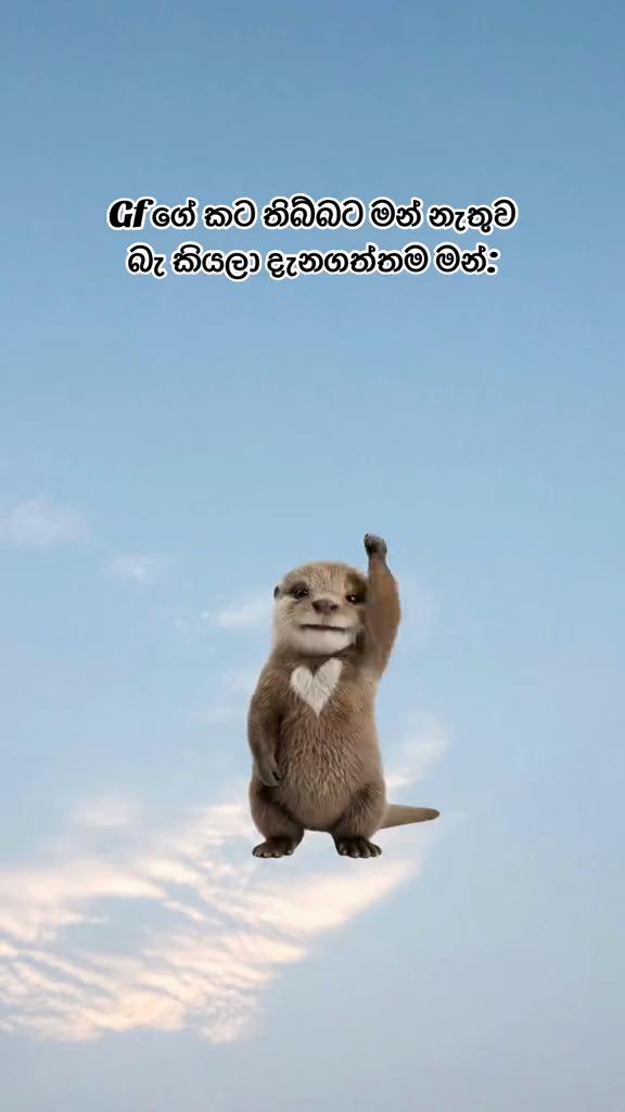 @🚨 ASELA | அசேலா | අසේල 🏍️