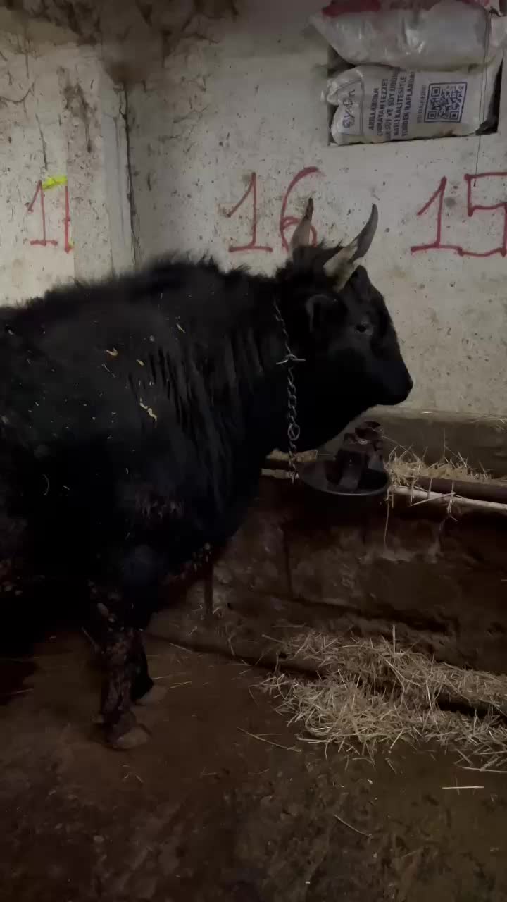 @𝐌 𝐄 𝐇 𝐌 𝐄 𝐓 25