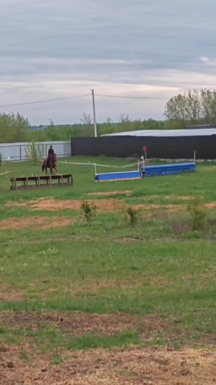 @🐴🤎