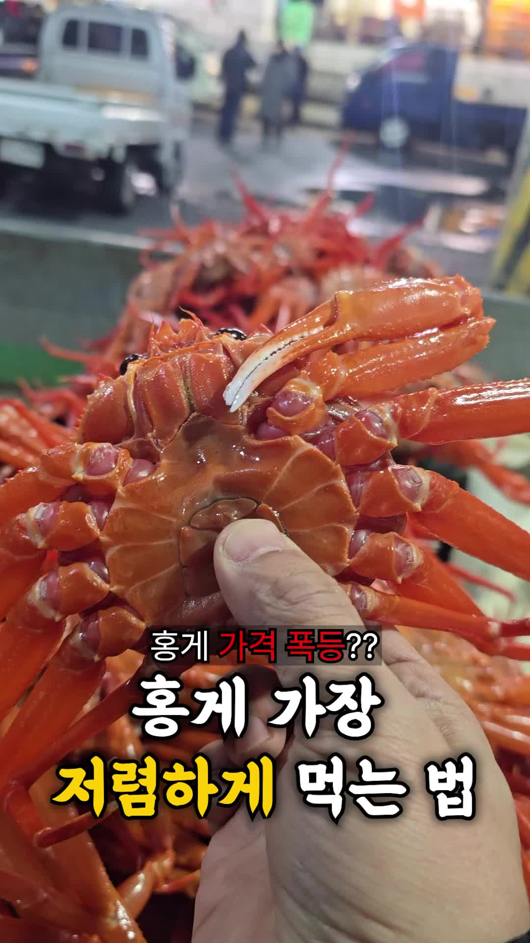 @싱싱헌터스