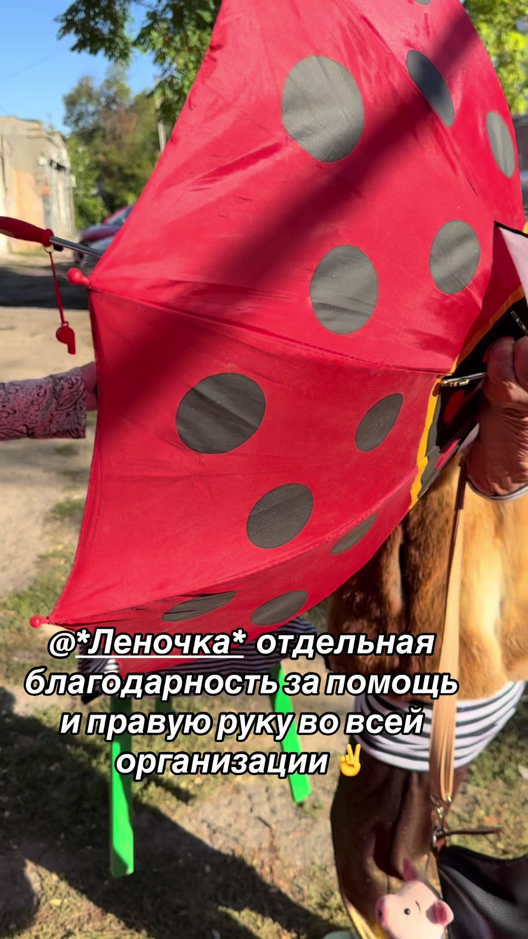 @Принцесса Молдаванки 🕊️