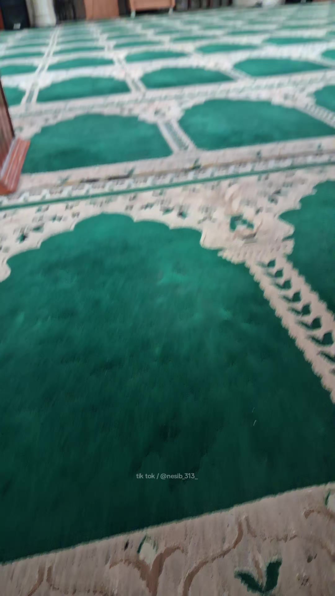 @nesib_313_
