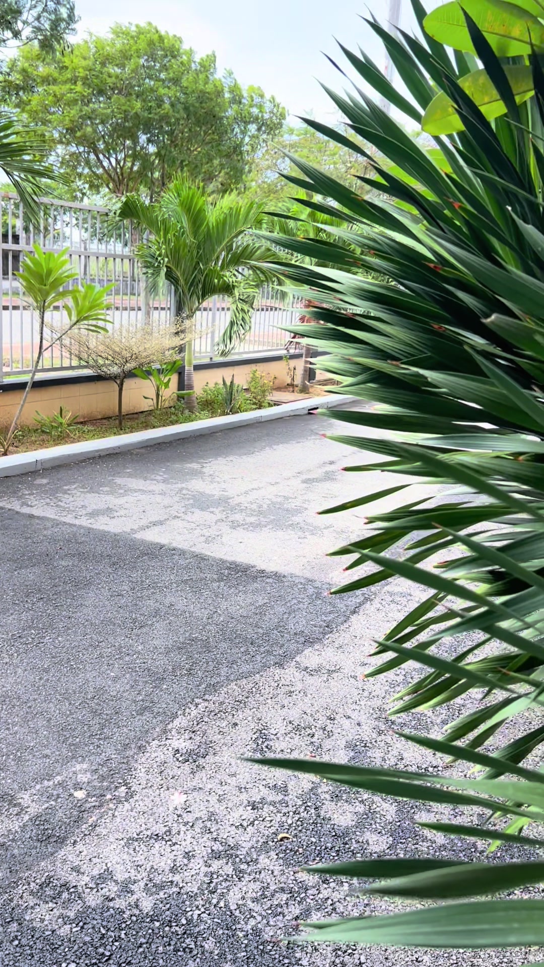 @Tin Red