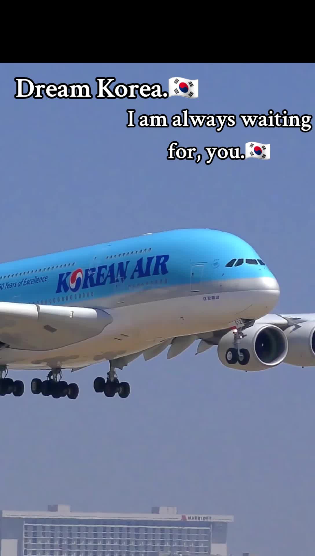 @Dream Korea.