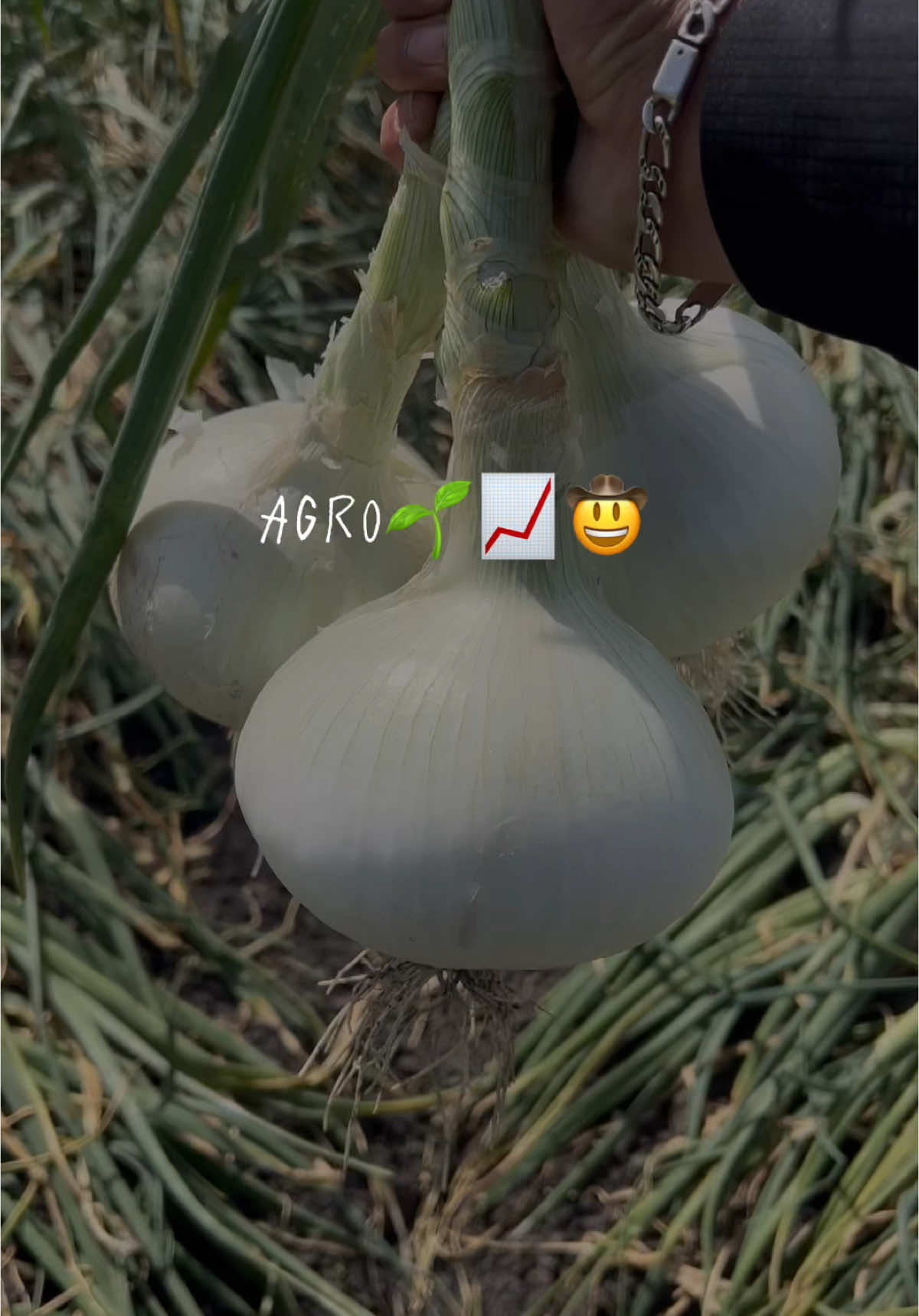 @agroboy_mx