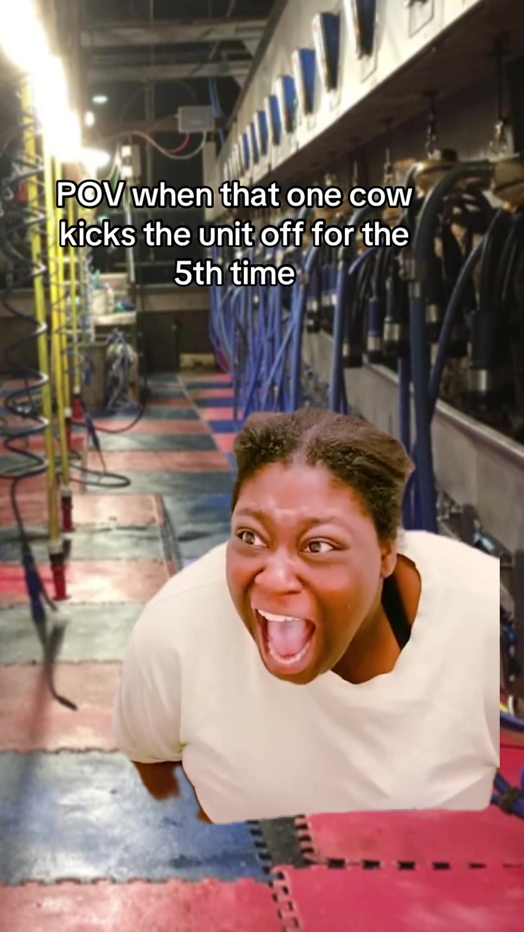 @Megan moo