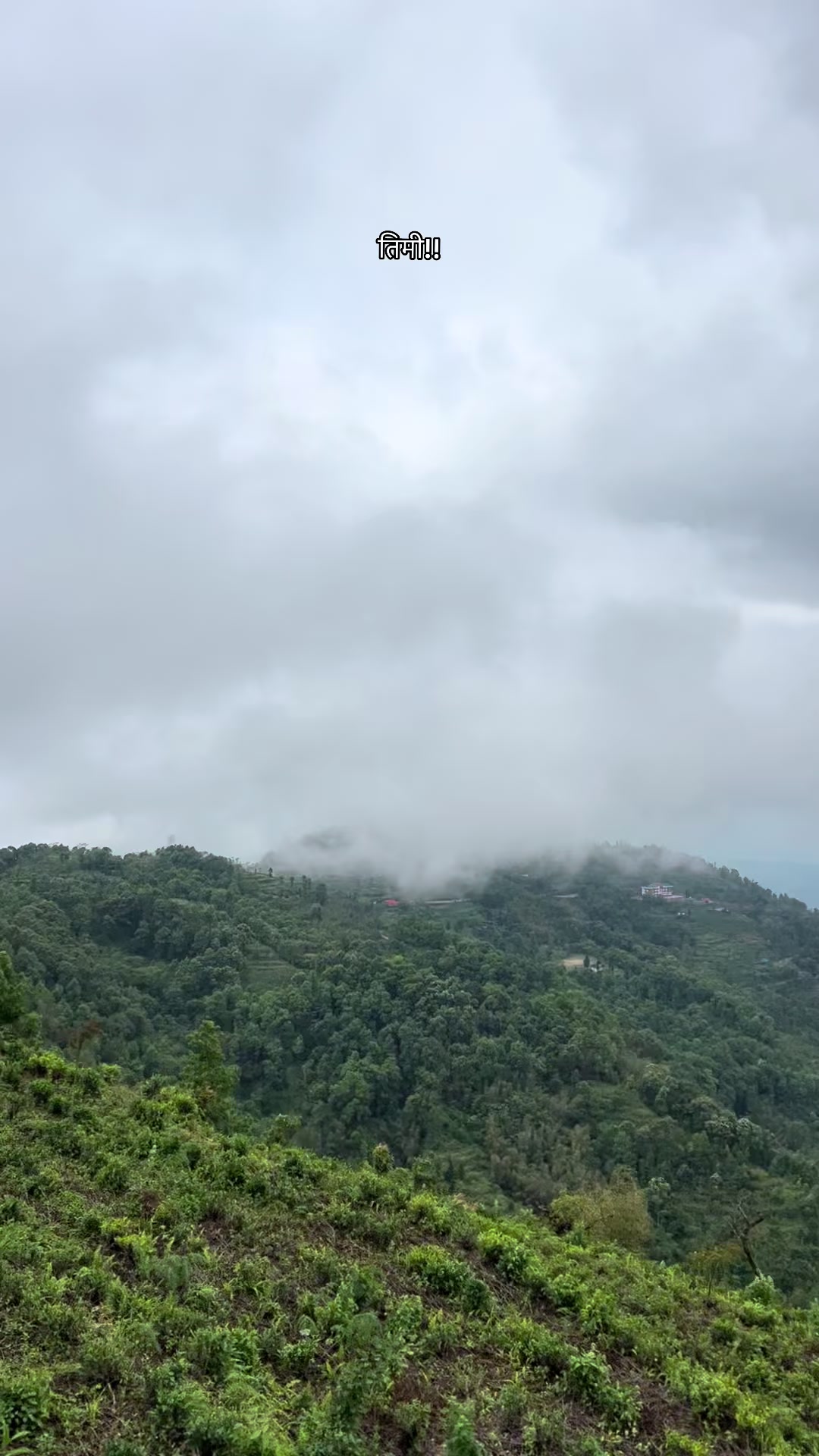 @Nittin Jabegu Limbu