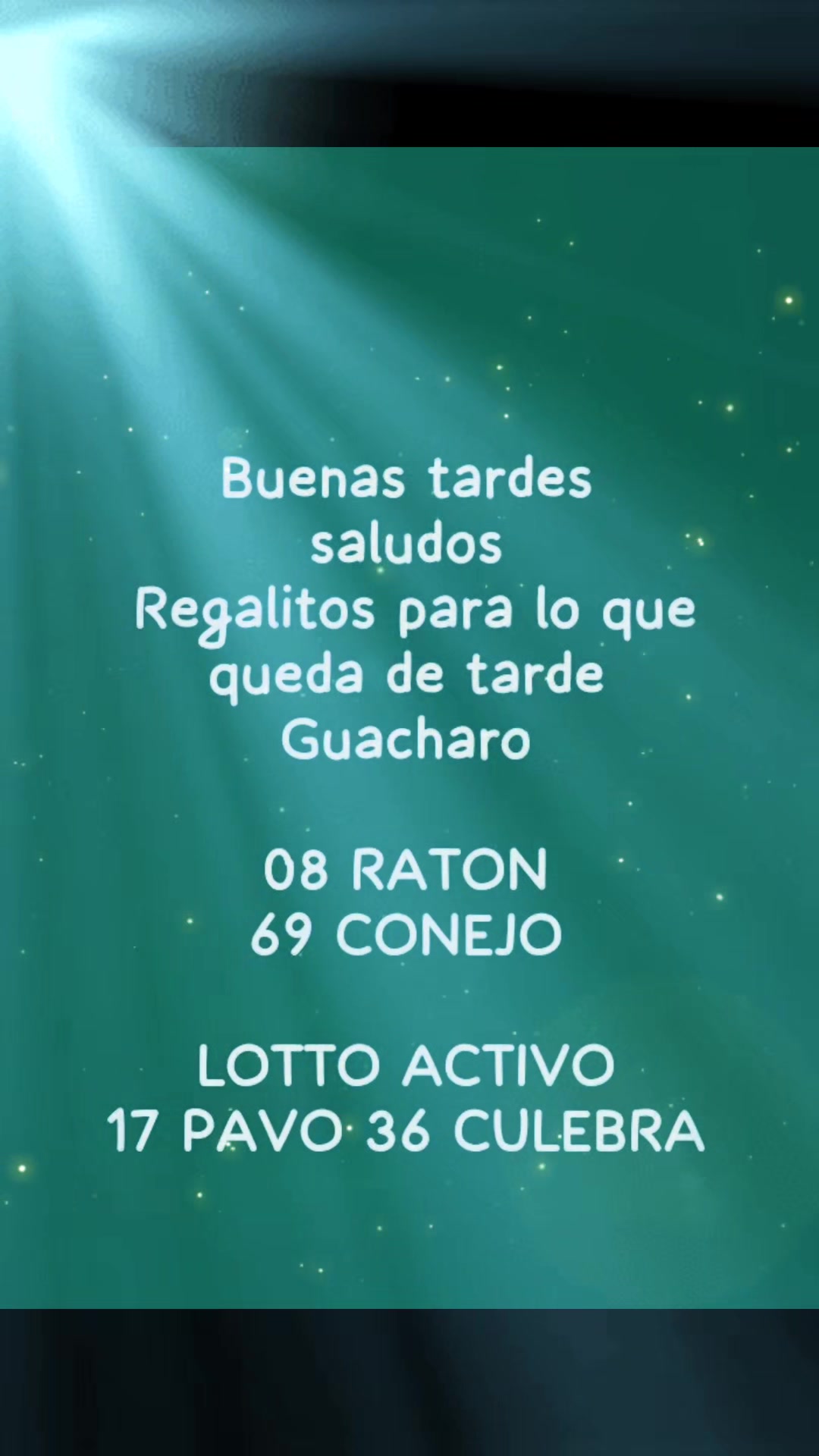 @el Gocho