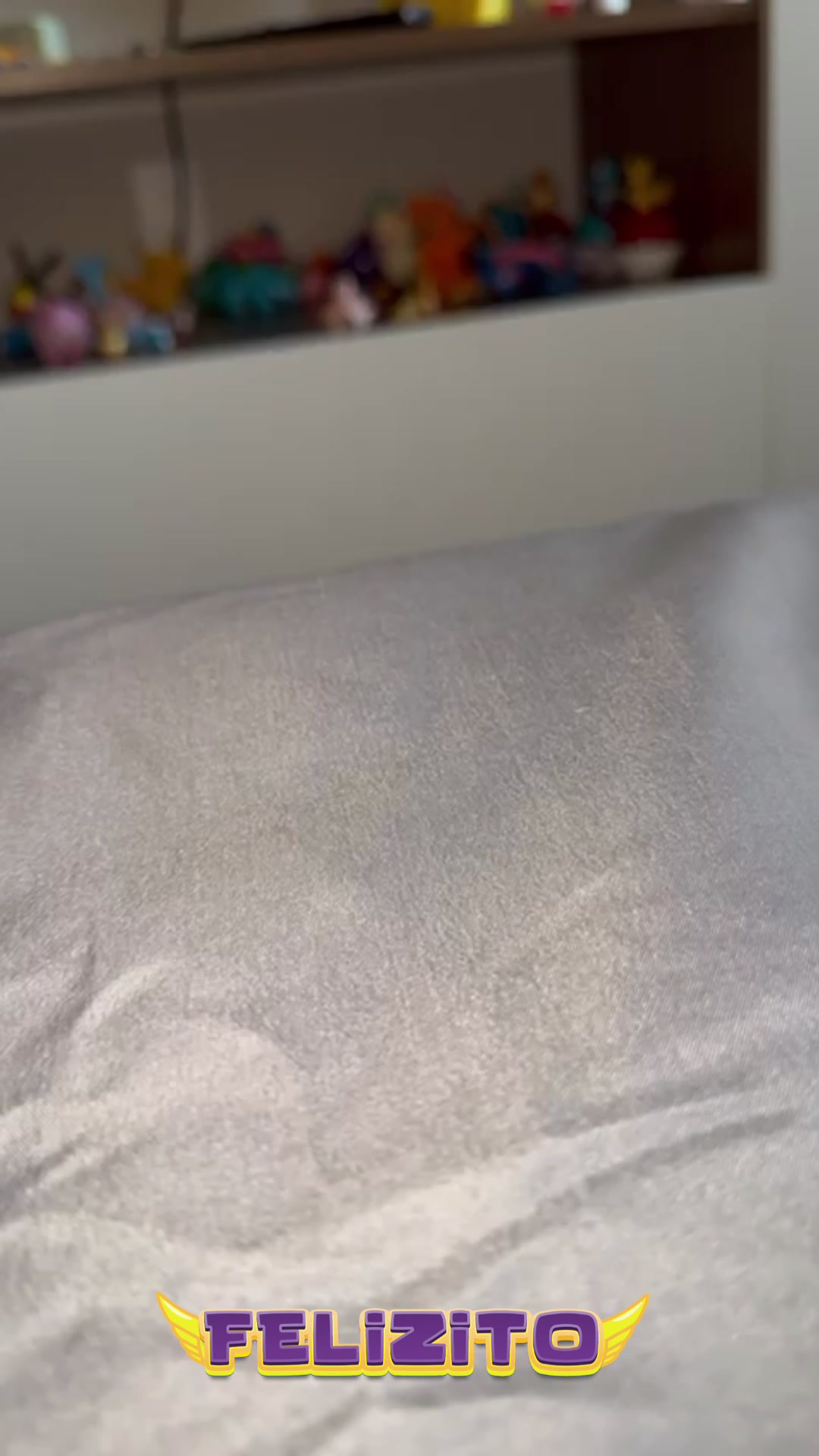 @felizitooficial