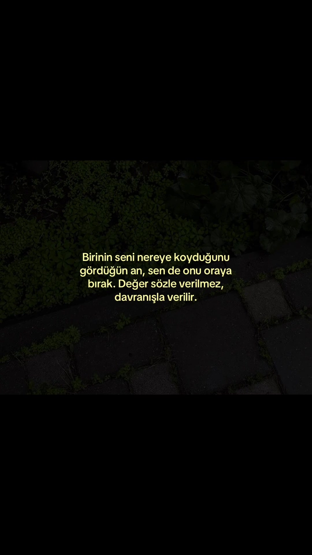 @𝓜.