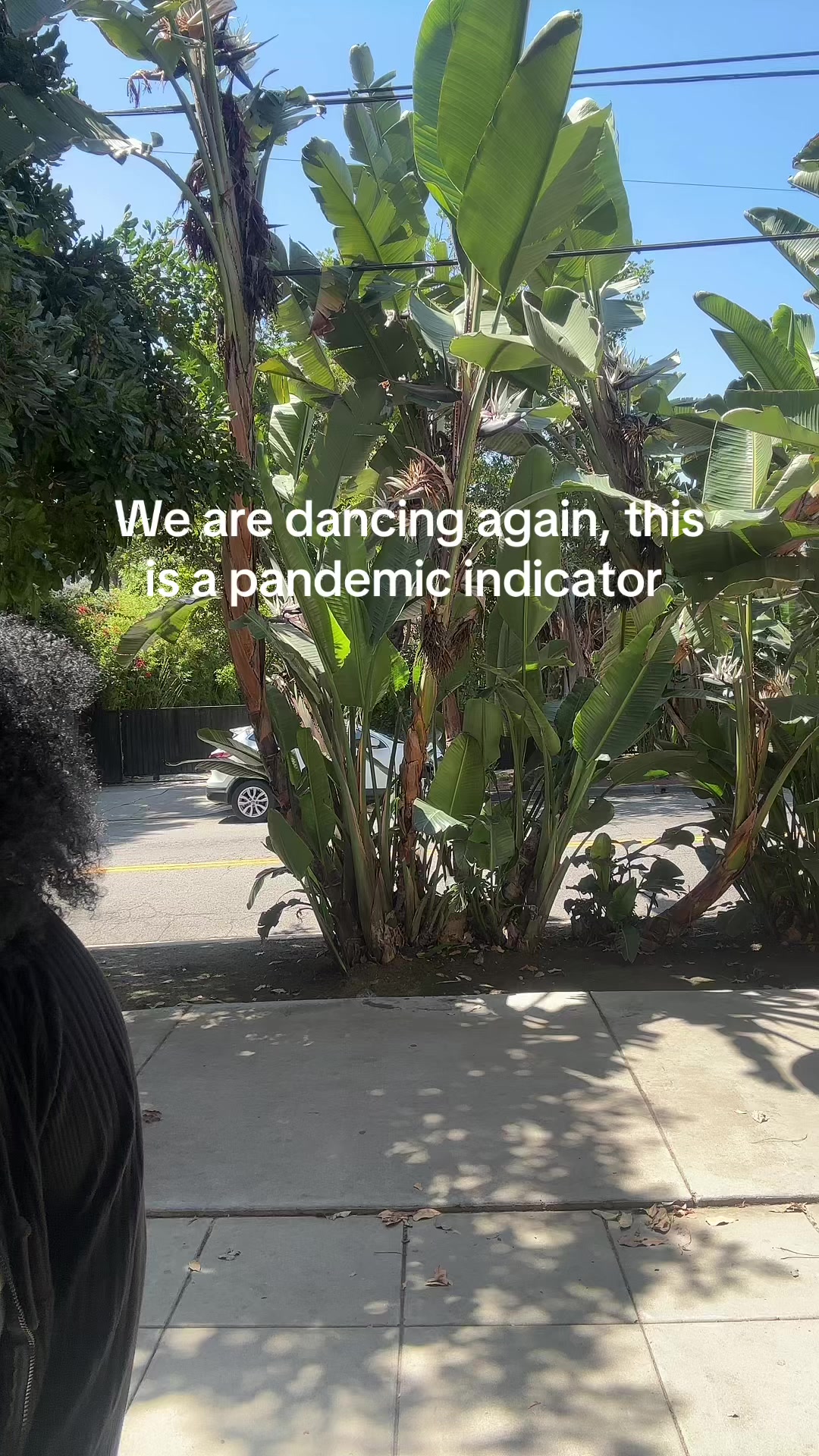 @sadé