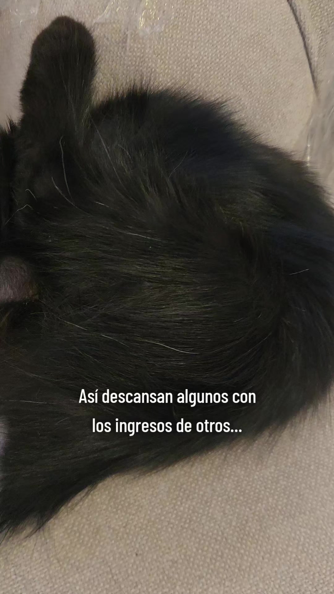 @El De La 450 Negra