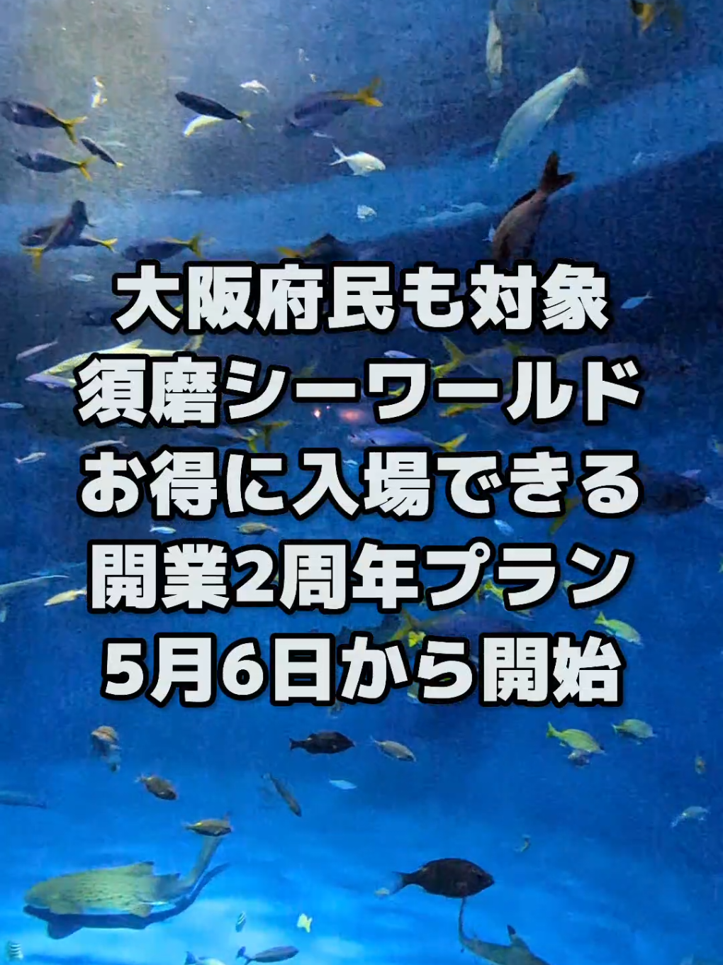 @大阪速報【大阪の今を先取り】