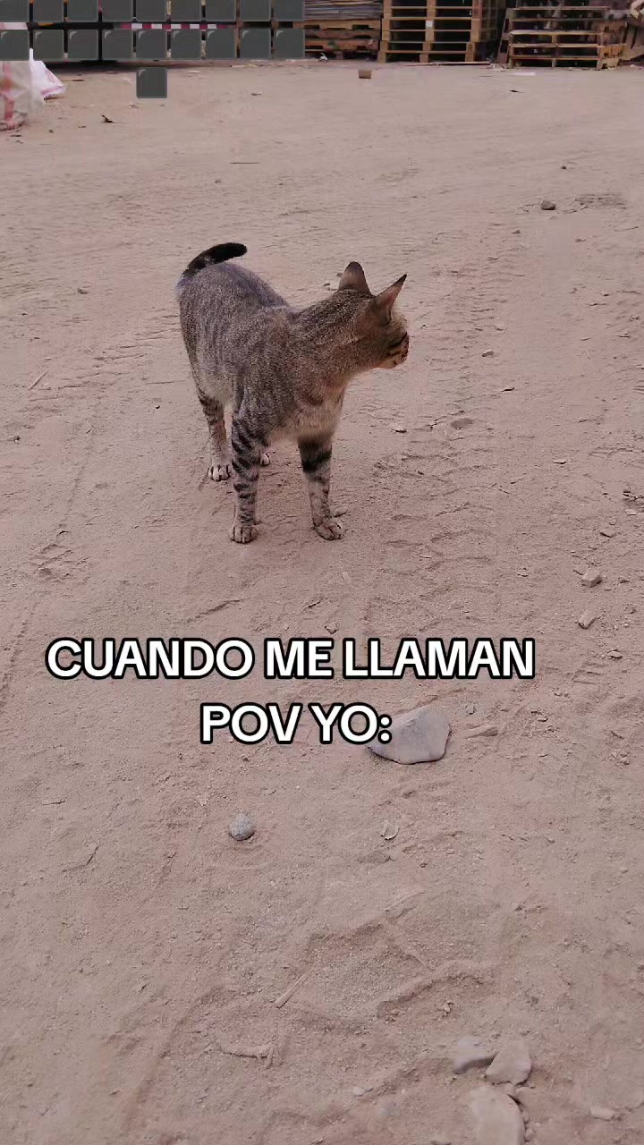 @BATALLAS DE MUÑECOS