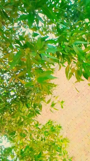 @Kailash Kumar superstar 🆔