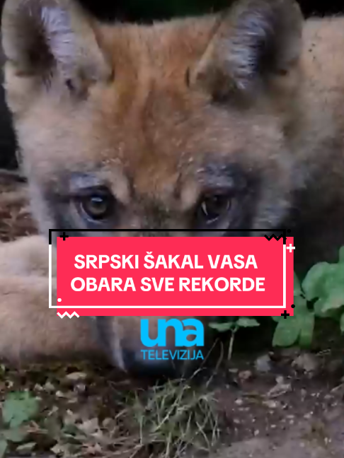 @UNA TELEVIZIJA