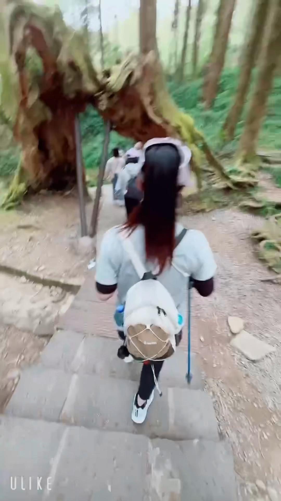 @Yang羊🐑🌈