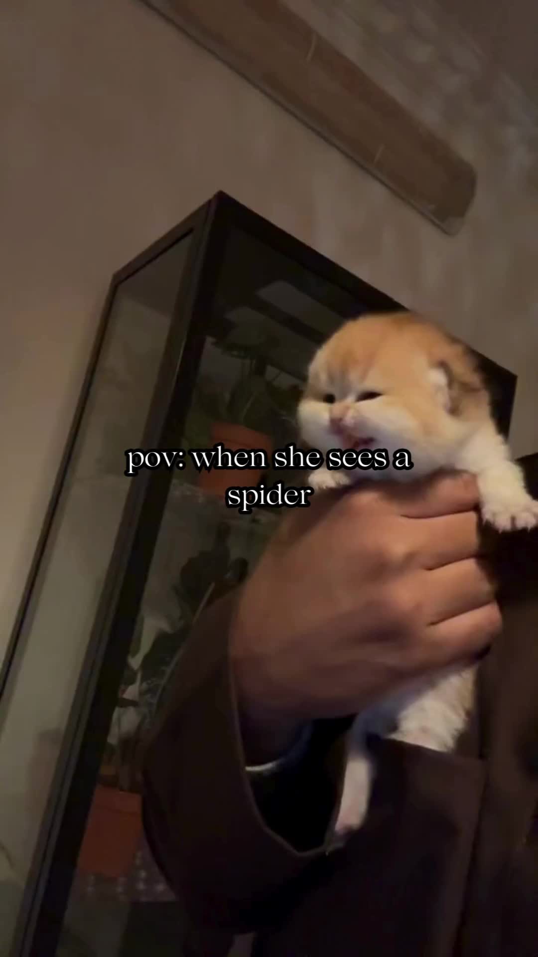 @BabaBear
