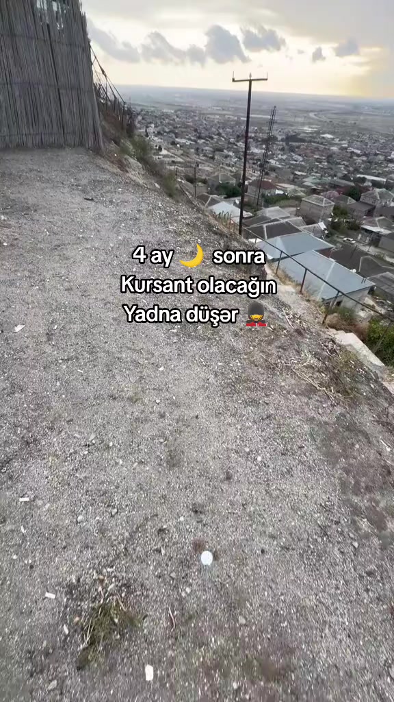 @🦂