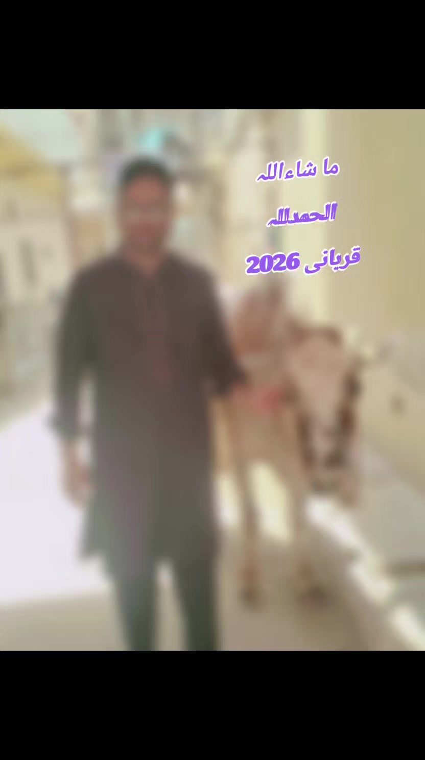 @Rashid Arieen