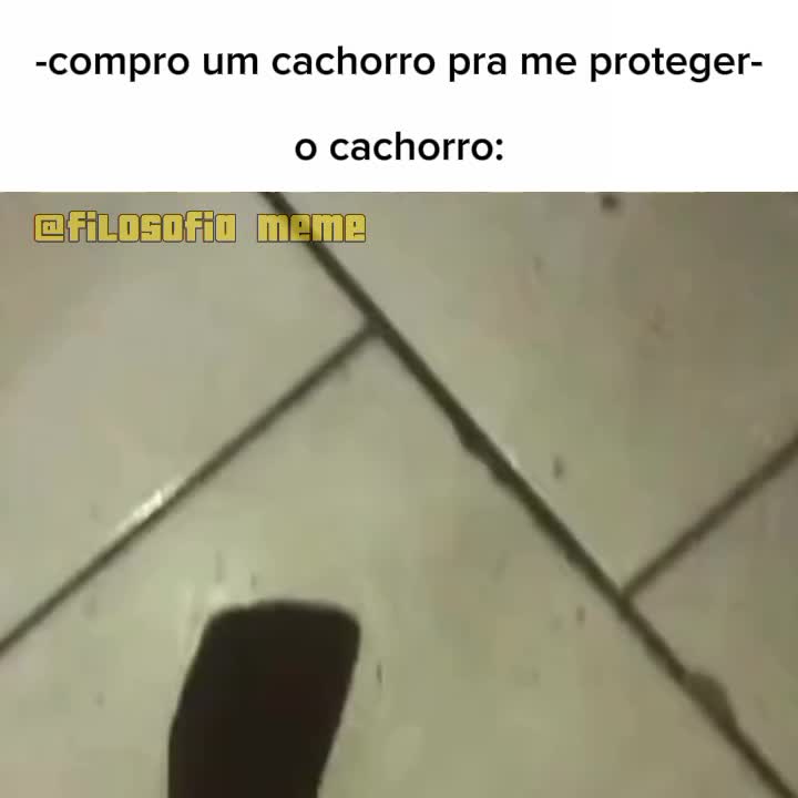 @filosofia.meme
