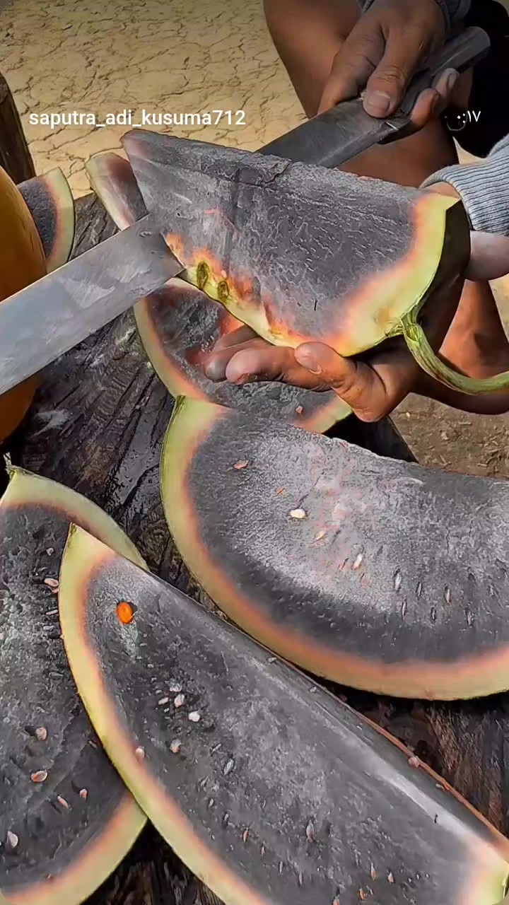 @الهجان