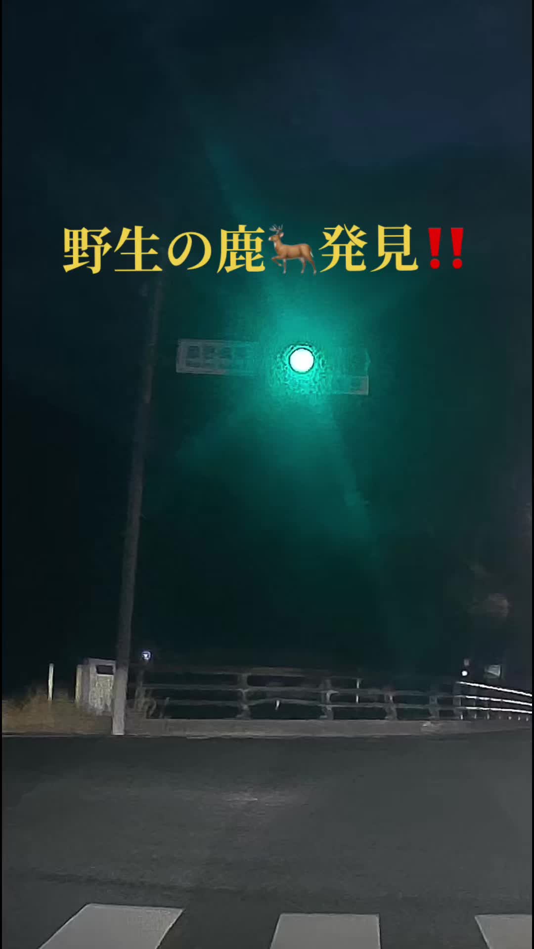 @初代　博多助六🏮