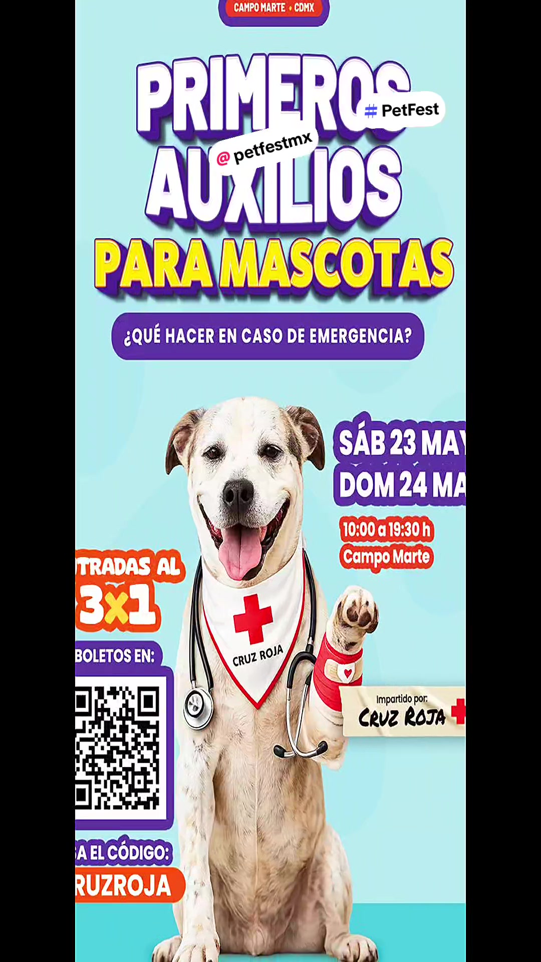 @Pachis220