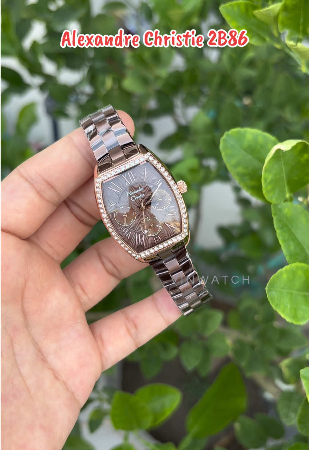 @vinwatch
