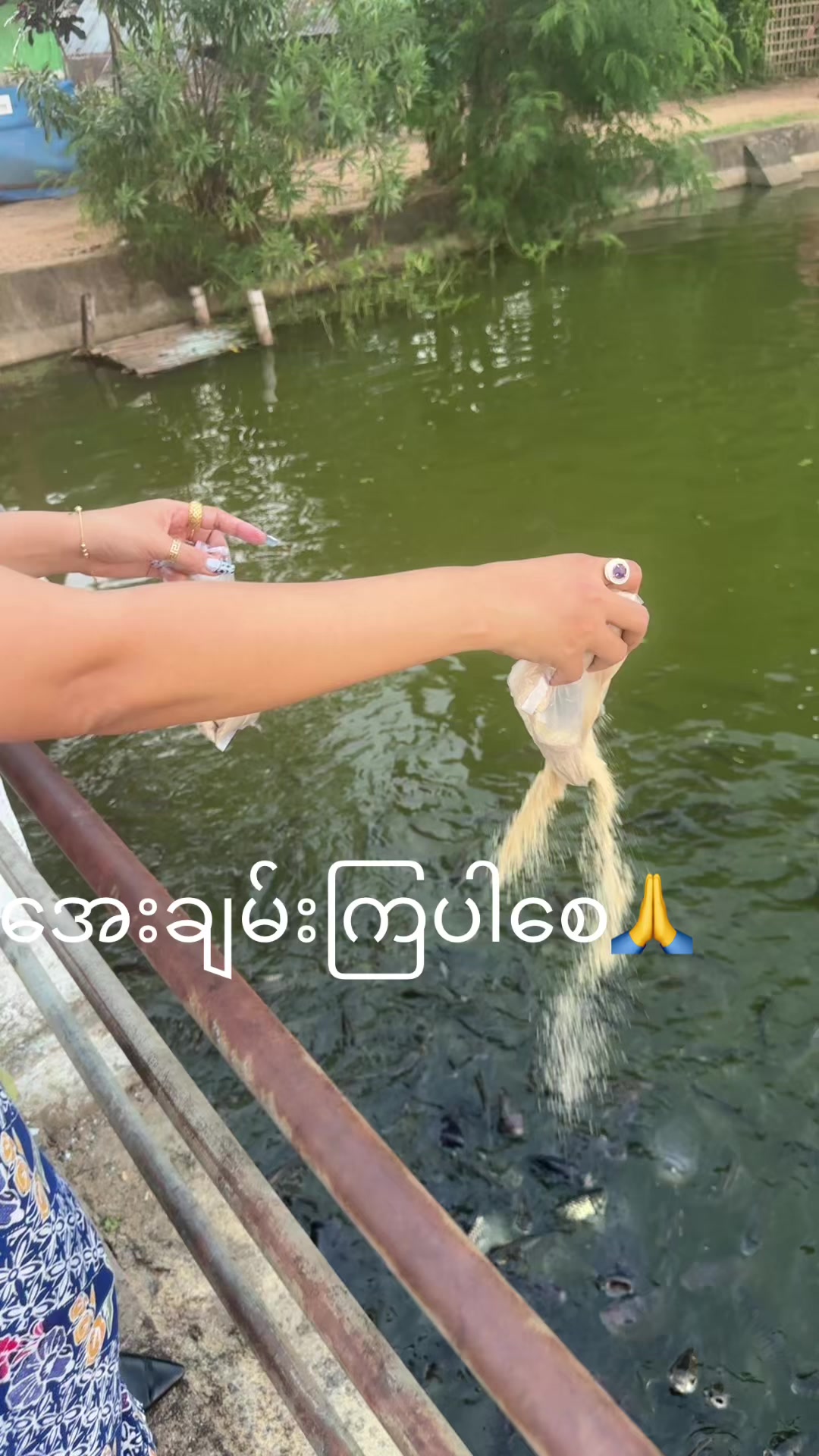 @Phyu Lay Hotdogs (Pyay)