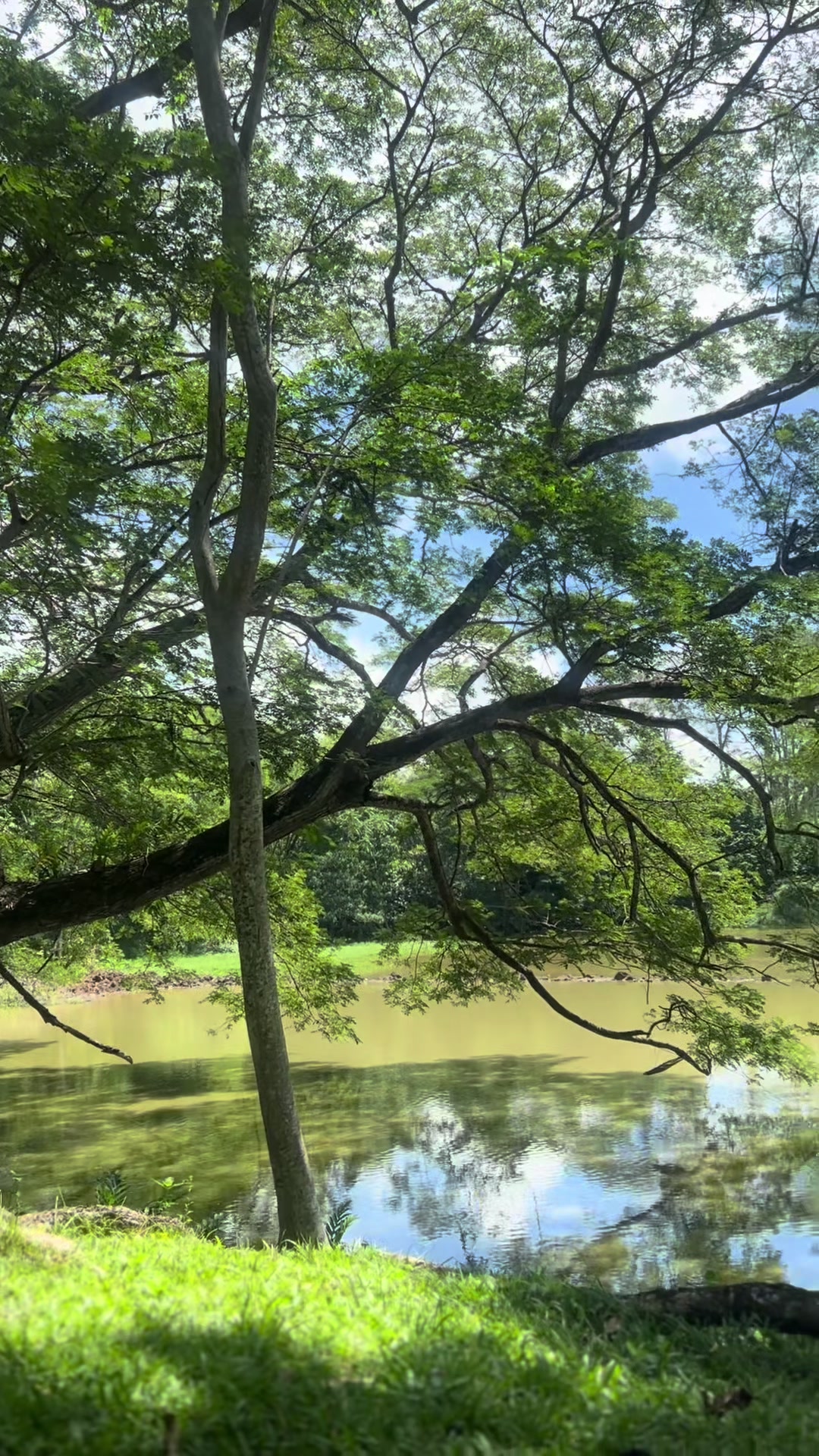 @Jeño Aberde Laguna
